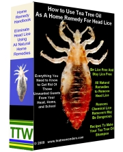 tea tree oil lice