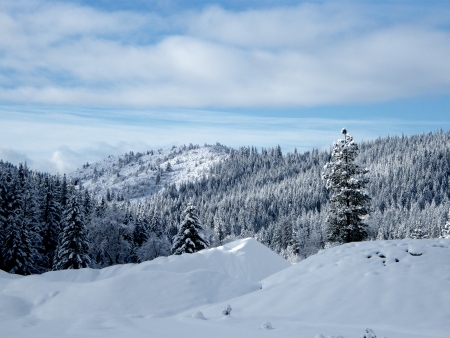 Siskiyou County Winter